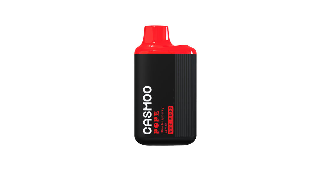 Disposable Electronic Vape E Cigarette 5000 Puffs 550mah Rechargeable OEM ODM